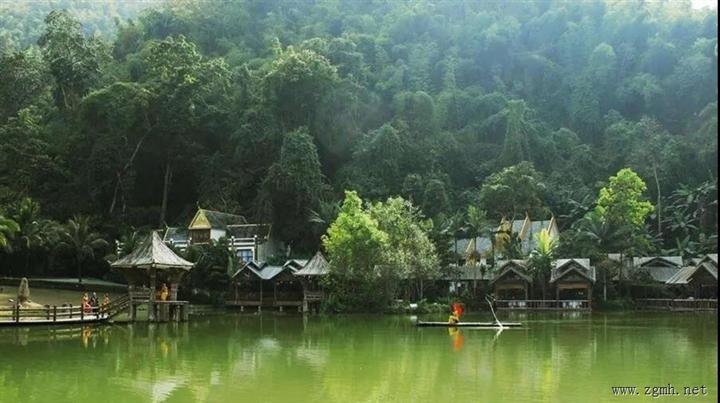 郑 艺：守护热带雨林方舟 共筑和谐美丽家园
