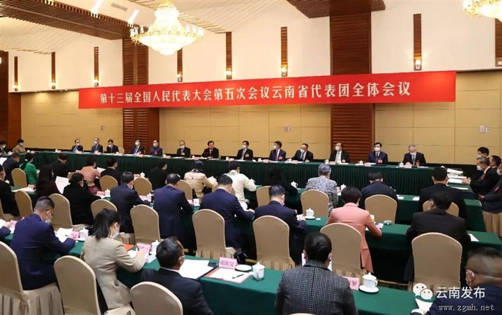 云南省代表团举行全体会议 推选王宁为代表团团长，王