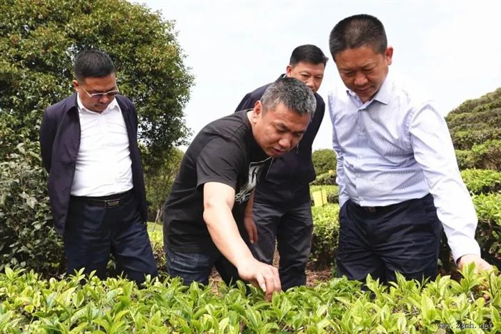 刀文调研全州文旅产业发展工作