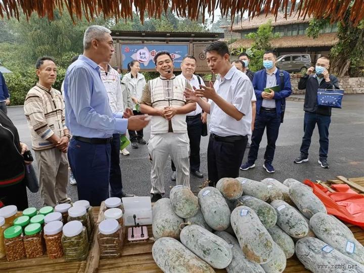西双版纳：“协商在基层” 共绘乡村振兴蓝图