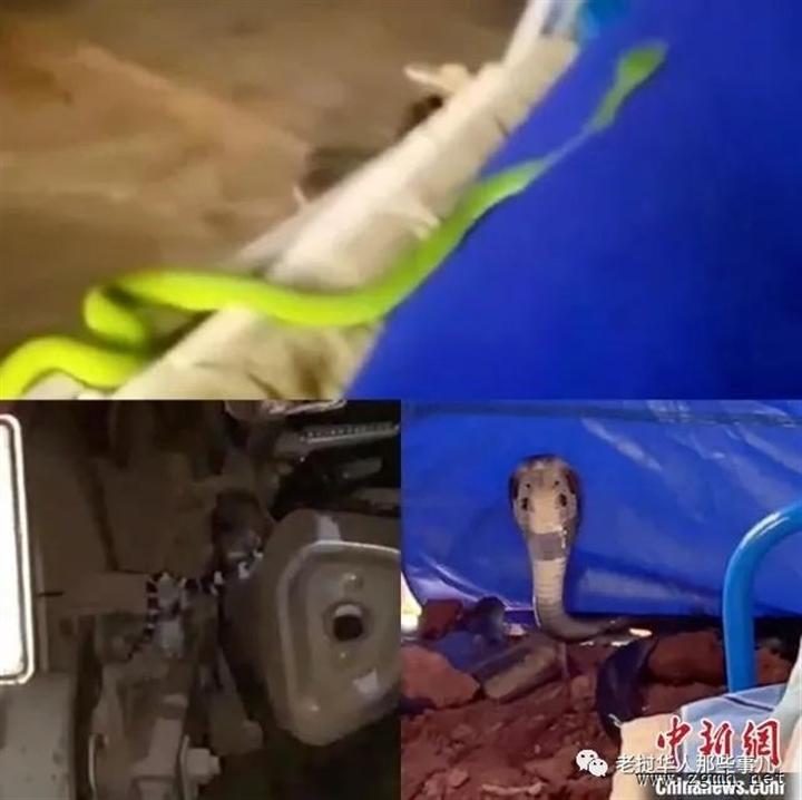 20220424102918_7938