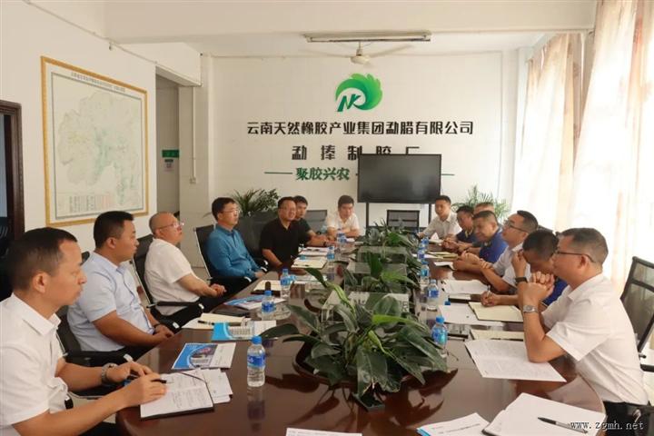 西双版纳州委书记朱家伟到云胶集团勐捧第二制胶厂调研