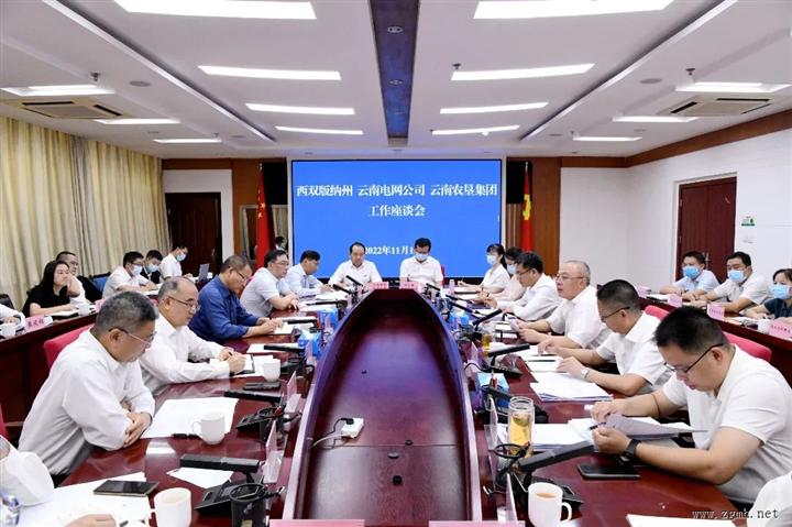西双版纳州与云南电网公司云南农垦集团举行座谈