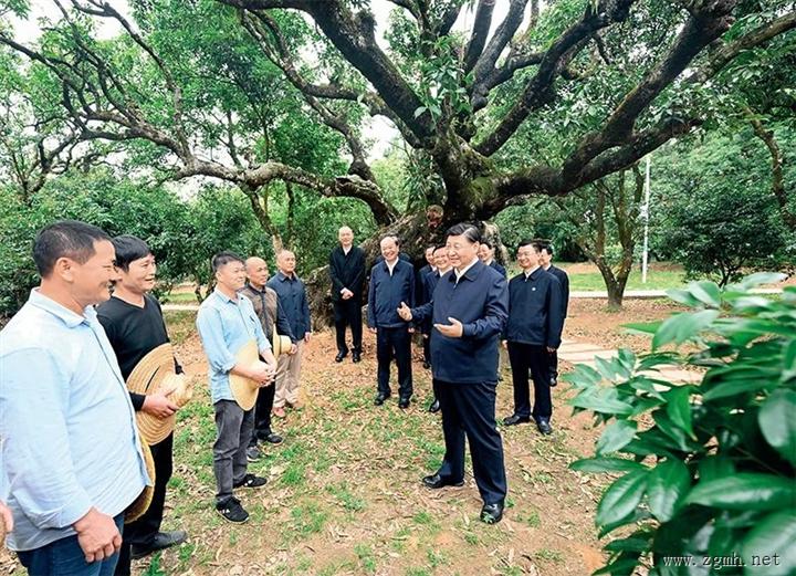 《求是》杂志发表习近平总书记重要文章《加快构建新发