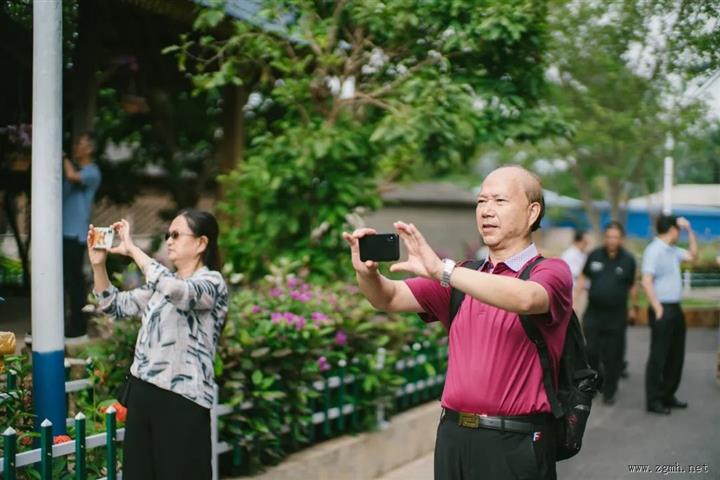 绿美勐腊 | 镇长话“绿美” ?绿美勐满镇，建设生态宜居宜业宜游的美丽乡村