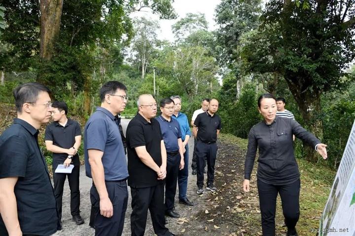 朱家伟在勐腊县调研时强调：抓实两个增收 补齐农村短板 加快产业发展 全面推进乡村振兴