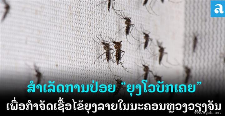 实验五个月！老挝投蚊项目控结果显著