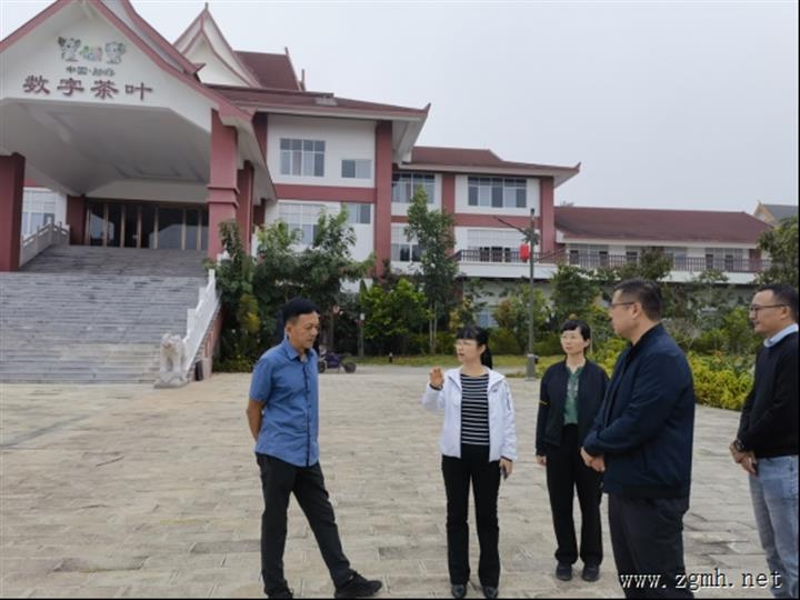 中老铁路三年行动计划领导小组办公室赴勐海县开展中老铁路沿线综合开发重点项目实地调研