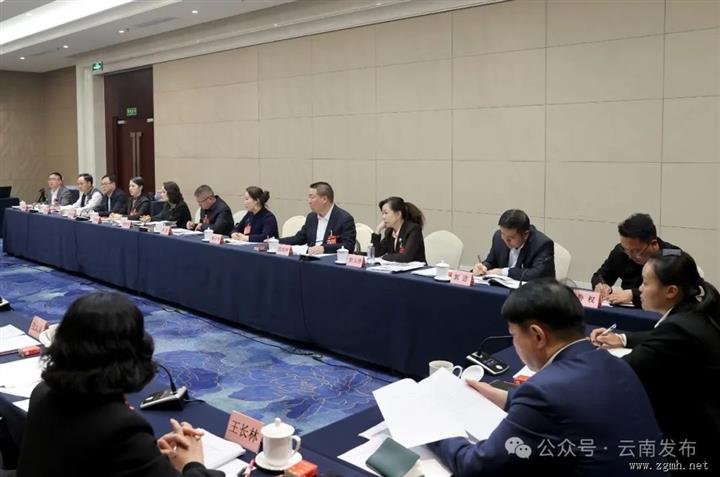 云南省代表团分组审议国务院组织法修订草案