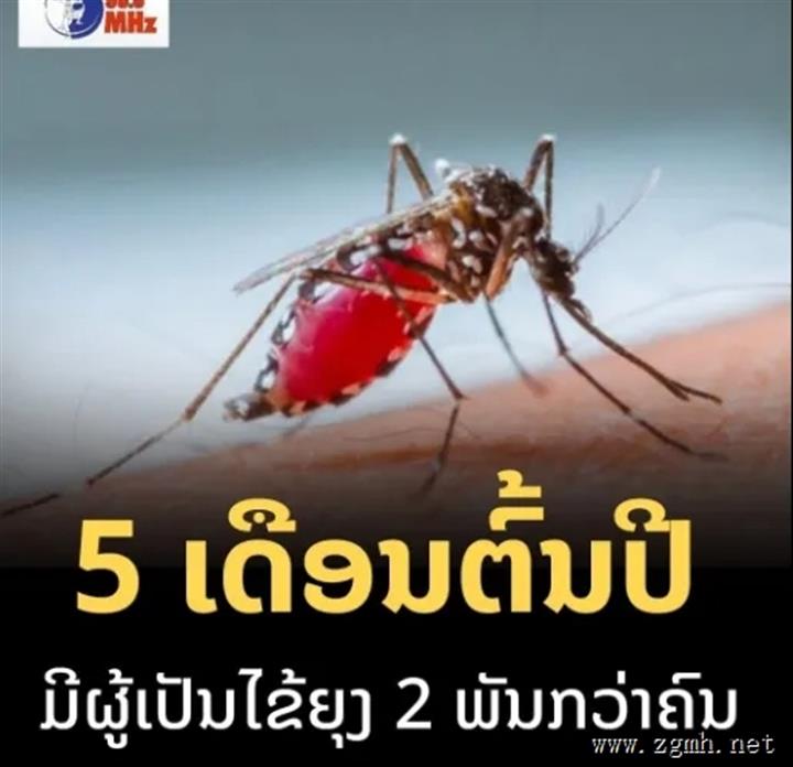 登革热病例仍是老挝面临的问题之一，2024年1月1日—5月7日，全国共有2770人感染登革热。
