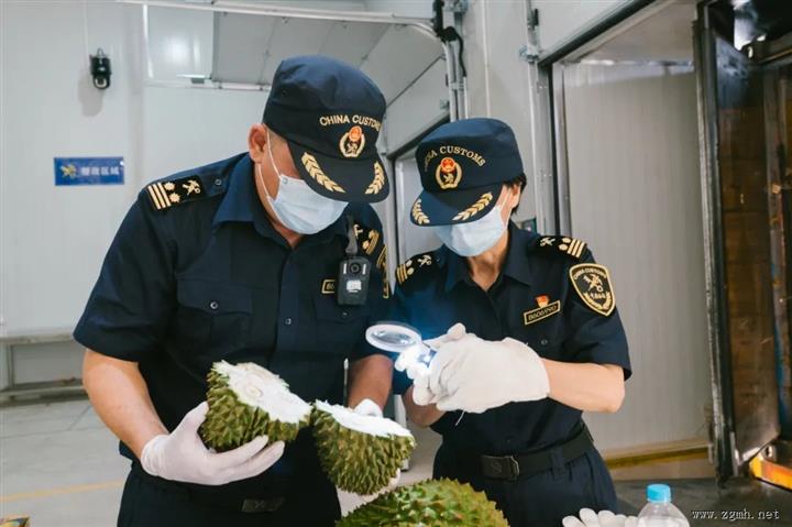 关累港口岸通过国家验收后迎来首批水果通关入境