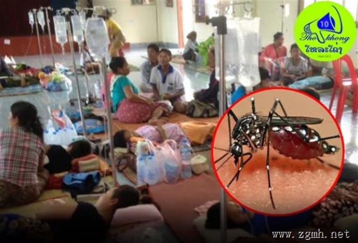 暂无死亡病例！老挝卫生部发布防控指南，这种毒株最危险→