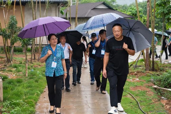 勐腊县政协开展“三园区两片区” 建设情况视察