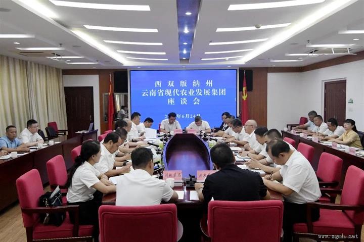 西双版纳州与云南省现代农业发展集团有限责任公司举行座谈