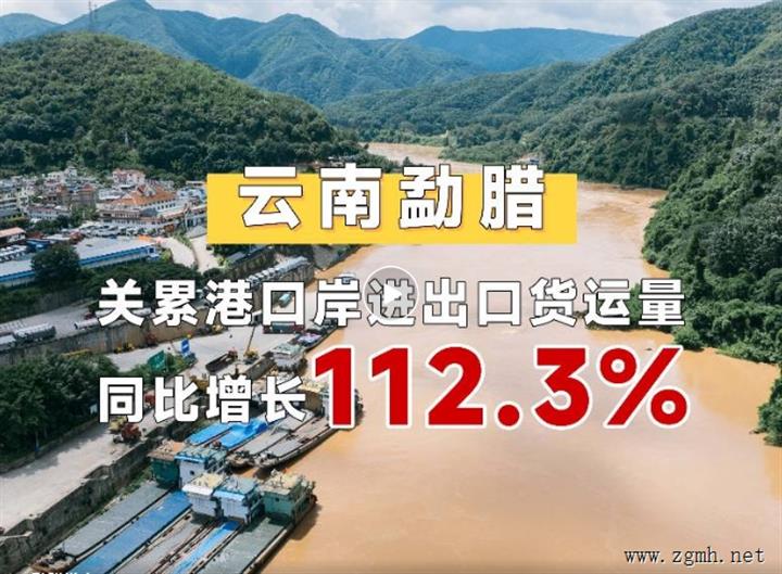 同比增长112.3% ！1-5月云南勐腊县关累港口岸进出口货运量11.12万吨
