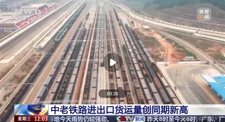 今年前7个月中老铁路进出口货物超343万吨 创历史同期新高