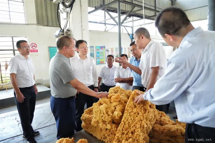 农业农村部农垦局调研勐腊垦区 锚定稳产提质绘就橡胶产业新图景   