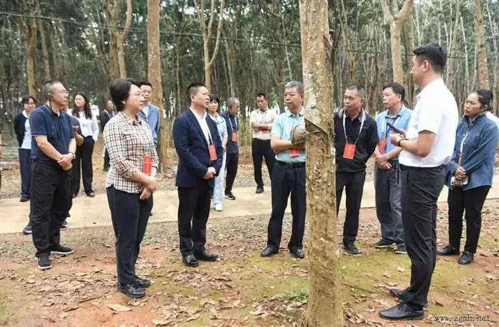 州人大常委会组织三级人大代表就全州林下经济发展情况开展集中视察