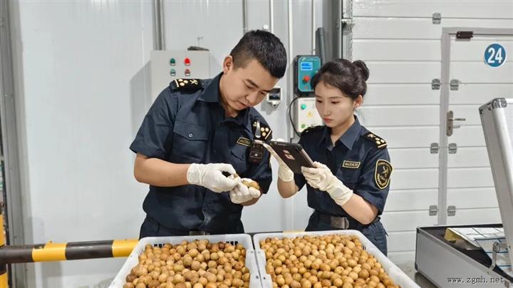 前10个月，中老铁路进出口货物超450万吨