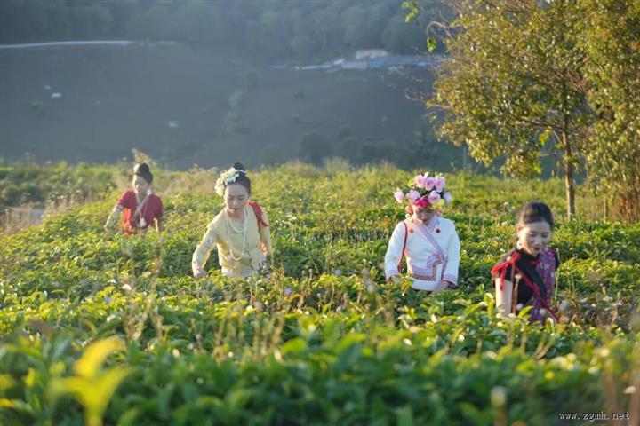 来西双版纳体验向往的生活