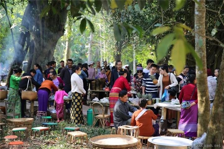 西双版纳：金融支持沿边乡村振兴 绘就兴边富民和美画卷