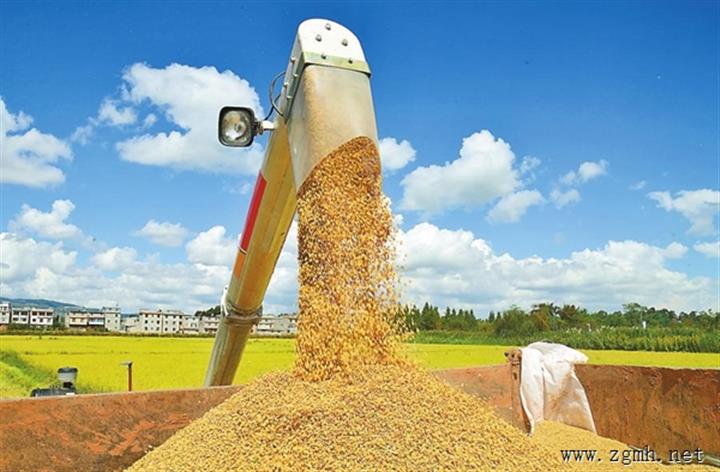 2025年我省粮食产量突破2000万吨