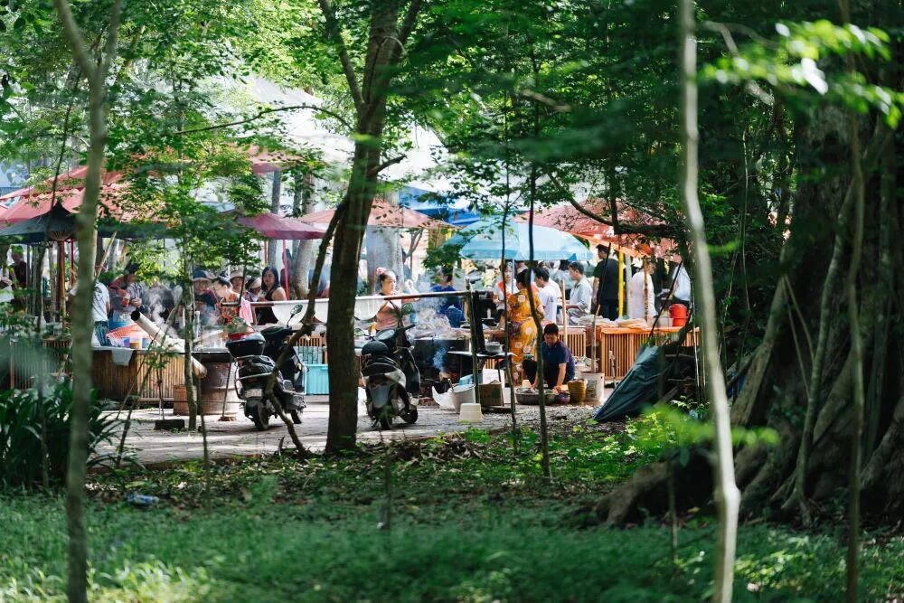 【代表委员履职故事】全国人大代表张世影：把边陲烟火气绘成兴边富民新画卷