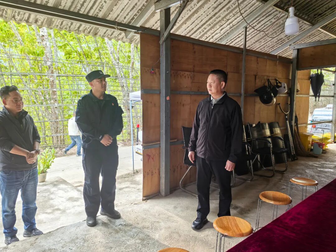 刀文在景洪市、勐海县调研时强调：保护生态环境 壮大特色产业 守牢边境安全