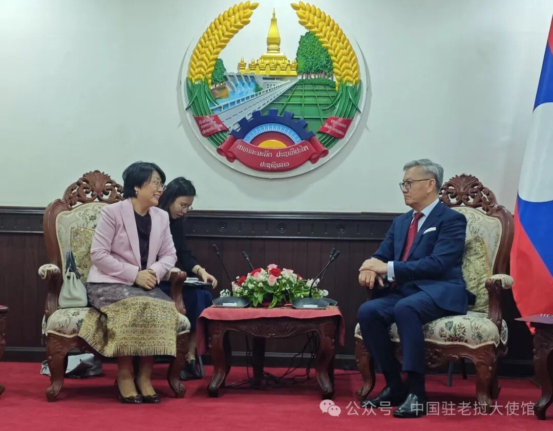 方虹大使会见老挝副总理兼外长通沙万
