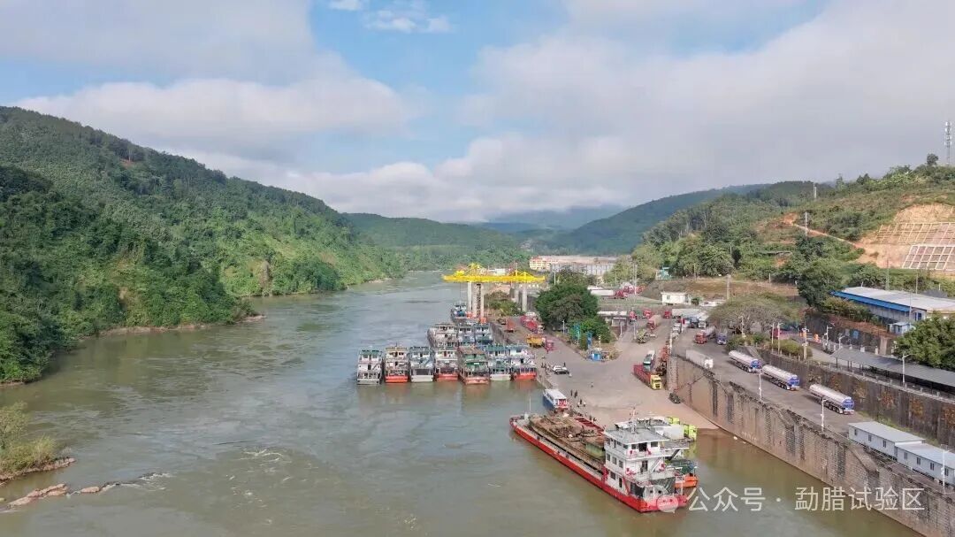 进口水果总量已超去年！云南关累港口岸前2月外贸“开门红”         勐腊试验区     202