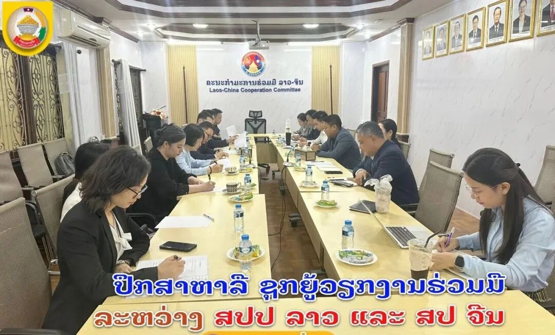 老中双方召开合作机制第一季度例会 聚焦重大项目与新兴领域合作