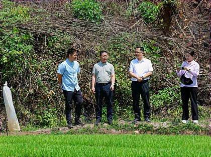 刀文到景洪市、勐腊县调研时强调：坚持以实干出政绩 推进经济稳进提质 持续改善民生福祉