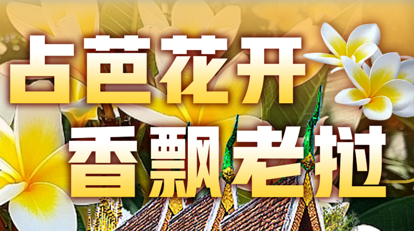 <%=mycom.ComName %>