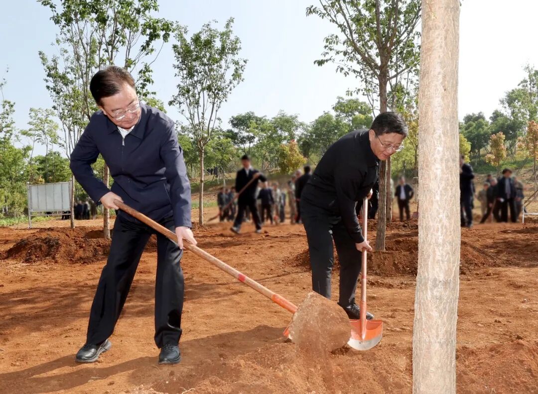 云南省委书记：把树种在群众身边         