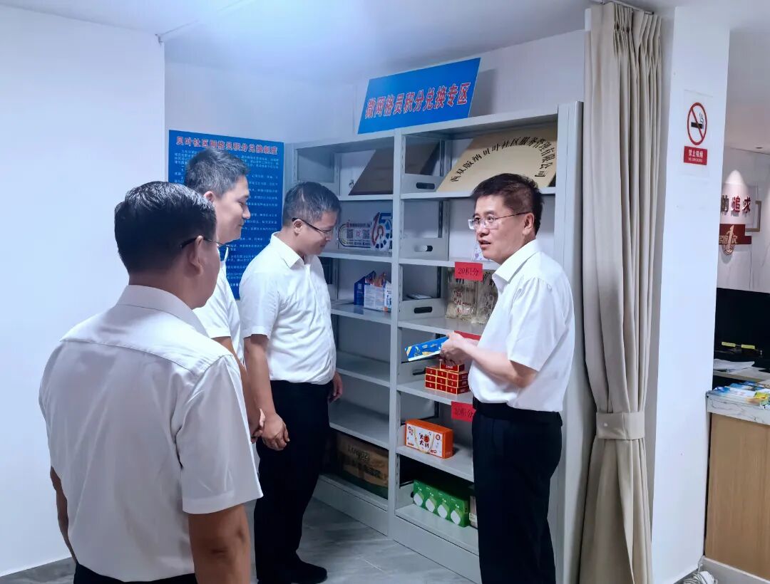 马志刚在景洪市调研时强调：勇于先行先试 积极探索实践 不断夯实高质量发展基础