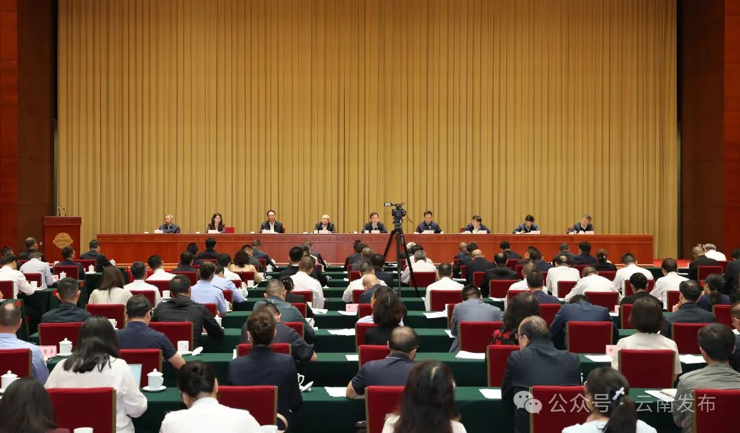 全省第六轮禁毒和防艾人民战争动员部署电视电话会议在昆召开 久久为功不断夺取禁毒防艾人民战争新胜利 王