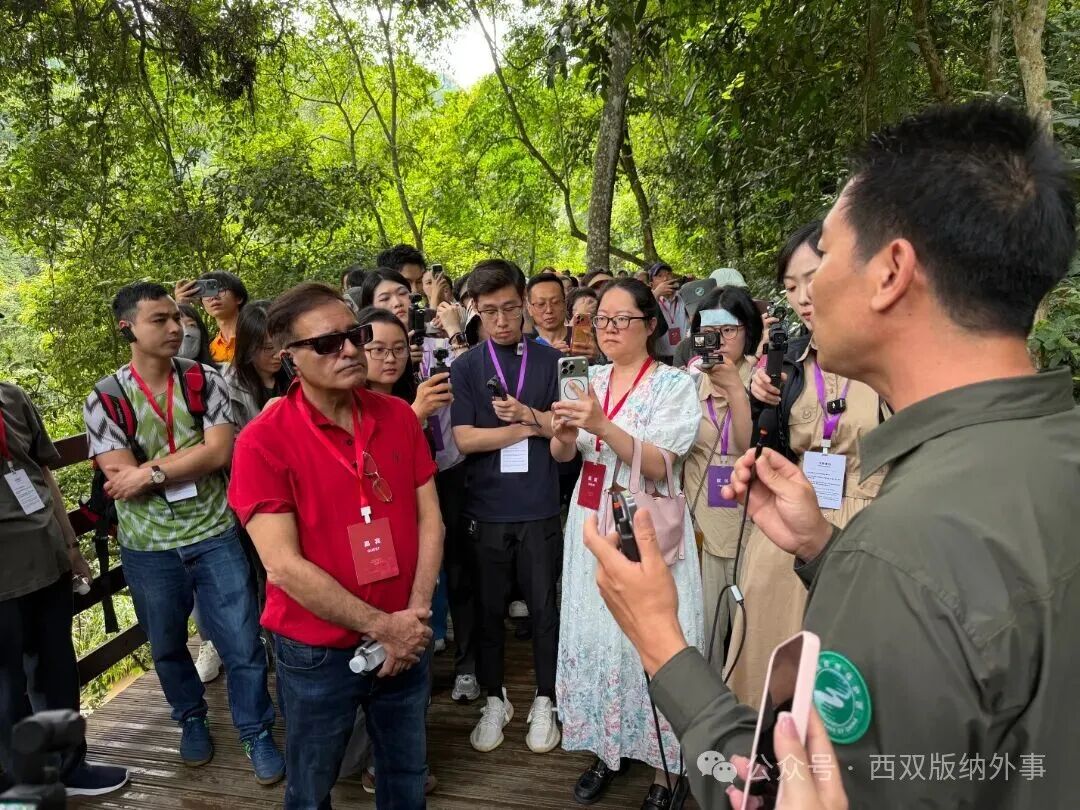 “象”往之地 共生之约：世界市长对话参访团点赞亚洲象保护“中国样本”