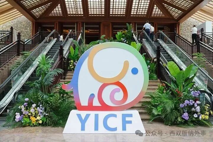 从“野象出圈”到“生态共鸣”！云南“大象IP”搭起国际传播交流平台