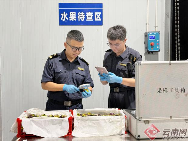 中老铁路累计进出口货值突破1000亿元